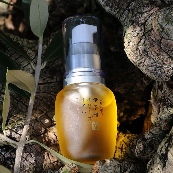 Iyokan (citrus iyo) Olive Oil